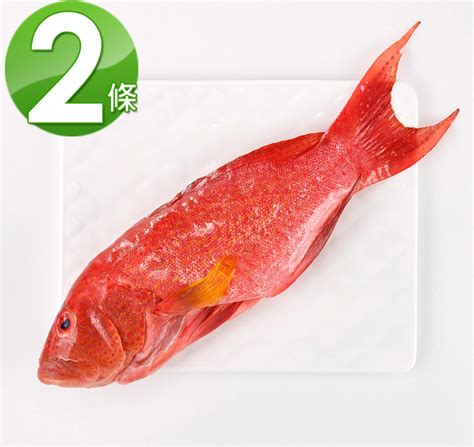 條魚